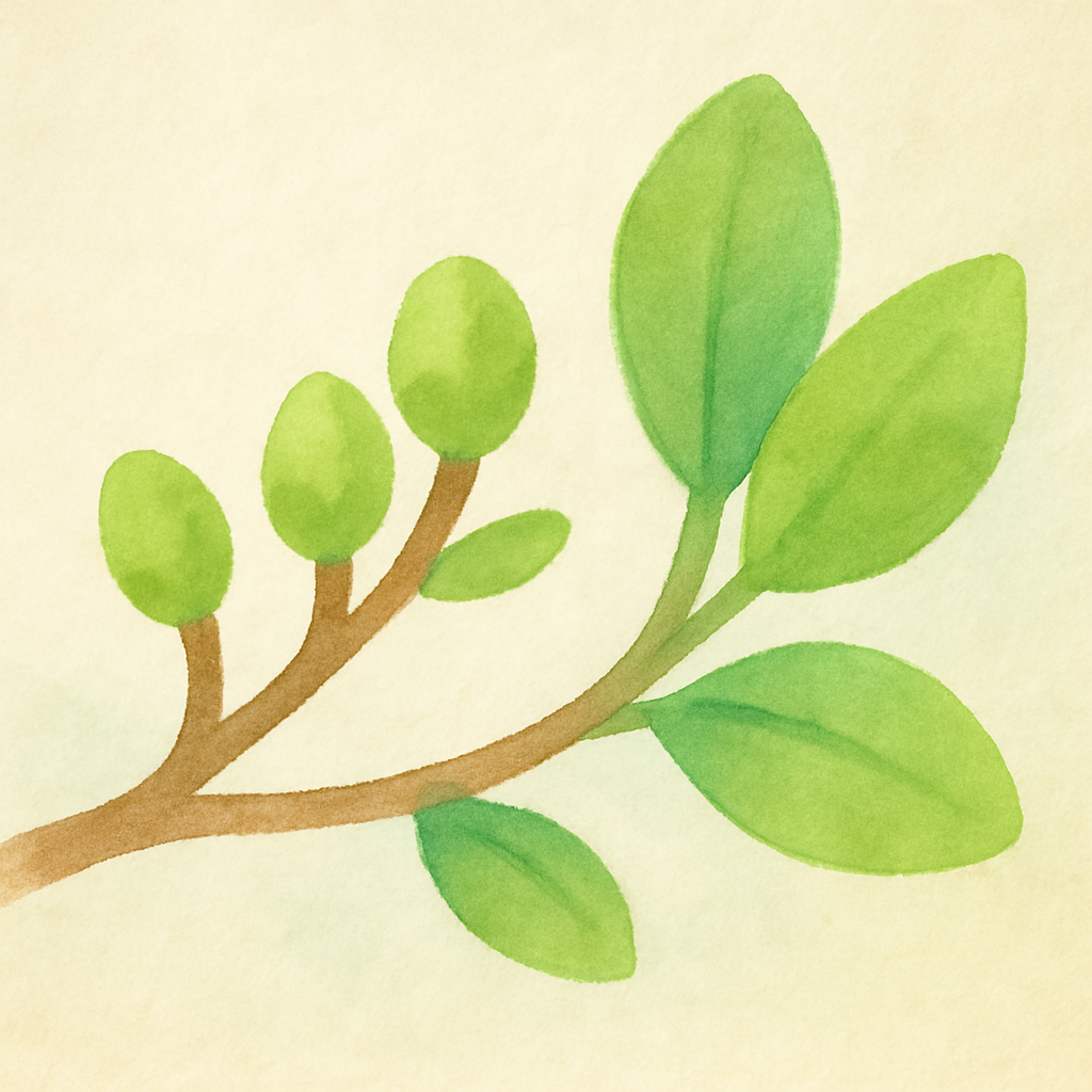 What Spring Looks Like (春天的样子) · 3